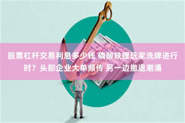 股票杠杆交易利息多少钱 磷酸铁锂玩家洗牌进行时？头部企业大单频传 另一边撤退潮涌