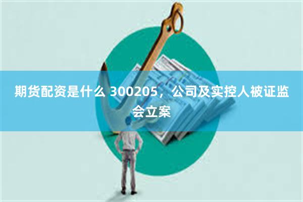 期货配资是什么 300205，公司及实控人被证监会立案