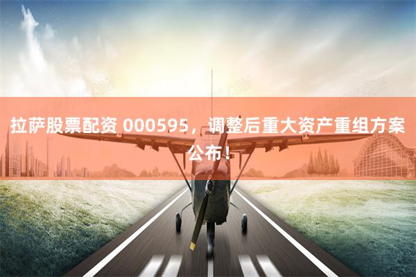 拉萨股票配资 000595，调整后重大资产重组方案公布！