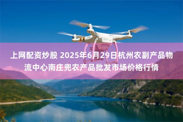 上网配资炒股 2025年6月29日杭州农副产品物流中心南庄兜农产品批发市场价格行情