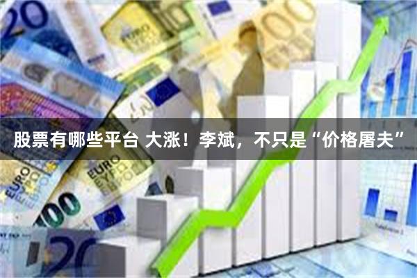 股票有哪些平台 大涨！李斌，不只是“价格屠夫”
