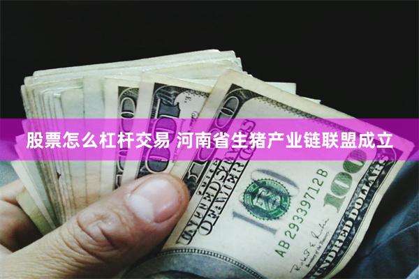 股票怎么杠杆交易 河南省生猪产业链联盟成立