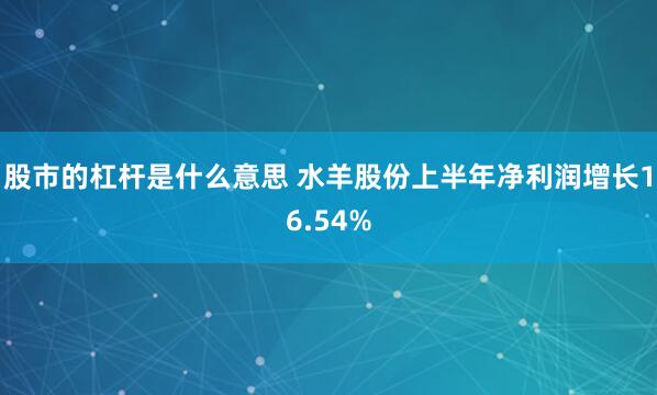 股市的杠杆是什么意思 水羊股份上半年净利润增长16.54%