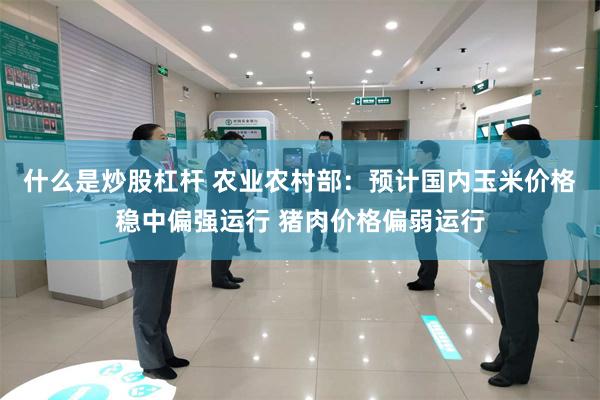 什么是炒股杠杆 农业农村部：预计国内玉米价格稳中偏强运行 猪肉价格偏弱运行