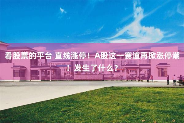看股票的平台 直线涨停!A股这一赛道再掀涨停潮!发生了什么?