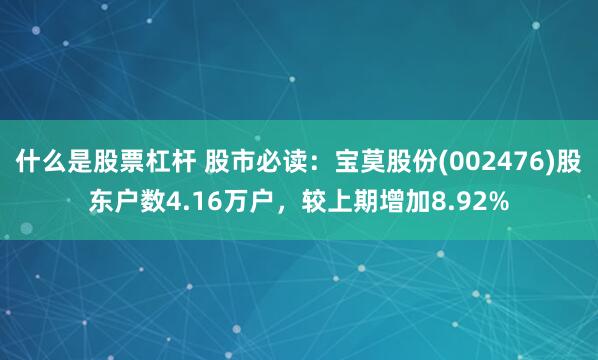 什么是股票杠杆 股市必读:宝莫股份(002476)股东户数4.16万户,较上期增加8.92%
