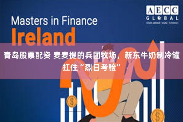 青岛股票配资 麦麦提的兵团牧场,新东牛奶制冷罐扛住“烈日考验”
