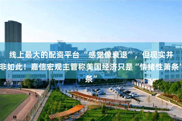 线上最大的配资平台 “感觉像衰退”，但现实并非如此！嘉信宏观主管称美国经济只是“情绪性萧条”