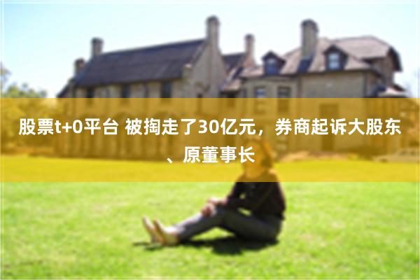 股票t+0平台 被掏走了30亿元，券商起诉大股东、原董事长