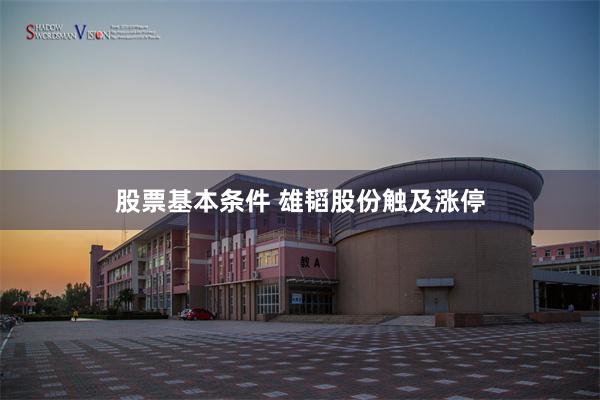股票基本条件 雄韬股份触及涨停