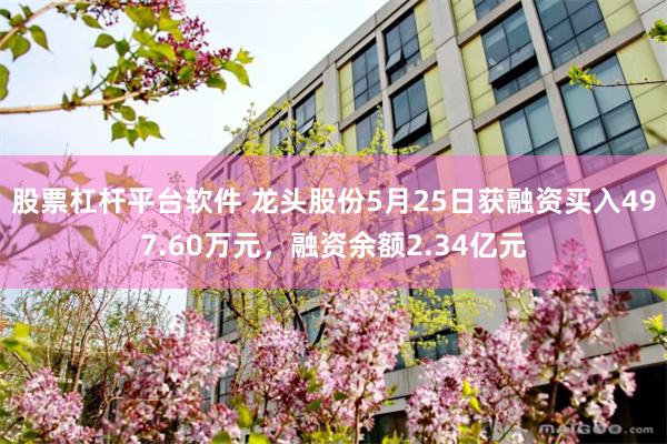 股票杠杆平台软件 龙头股份5月25日获融资买入497.60万元，融资余额2.34亿元