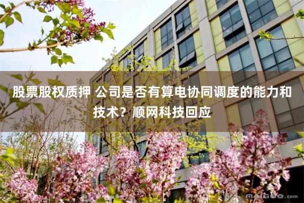 股票股权质押 公司是否有算电协同调度的能力和技术？顺网科技回应