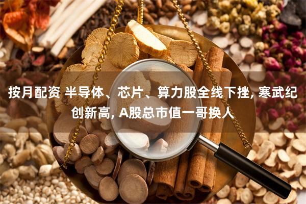 按月配资 半导体、芯片、算力股全线下挫, 寒武纪创新高, A股总市值一哥换人