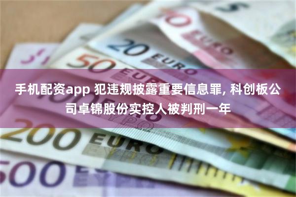 手机配资app 犯违规披露重要信息罪, 科创板公司卓锦股份实控人被判刑一年