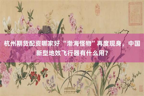 杭州期货配资哪家好 “渤海怪物”再度现身，中国新型地效飞行器有什么用？
