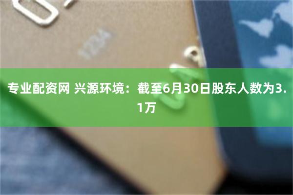 专业配资网 兴源环境：截至6月30日股东人数为3.1万