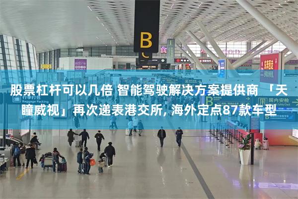 股票杠杆可以几倍 智能驾驶解决方案提供商 「天瞳威视」再次递表港交所, 海外定点87款车型