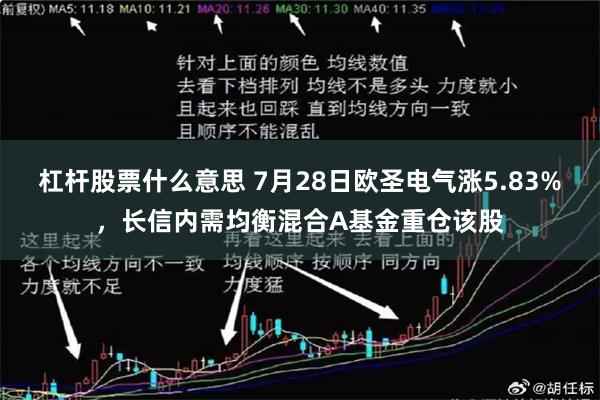 杠杆股票什么意思 7月28日欧圣电气涨5.83%，长信内需均衡混合A基金重仓该股