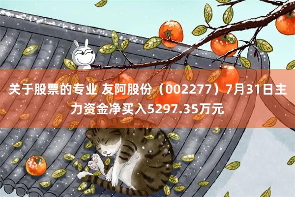 关于股票的专业 友阿股份（002277）7月31日主力资金净买入5297.35万元