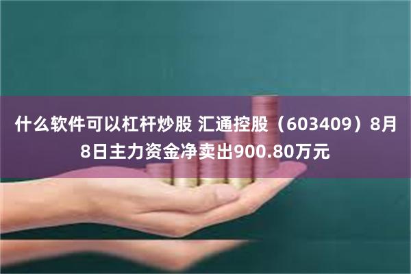 什么软件可以杠杆炒股 汇通控股（603409）8月8日主力资金净卖出900.80万元