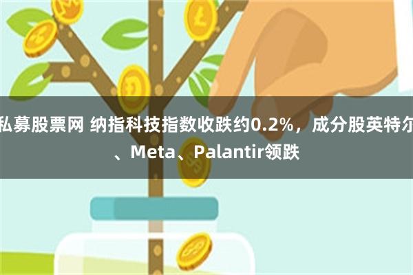 私募股票网 纳指科技指数收跌约0.2%,成分股英特尔、Meta、Palantir领跌