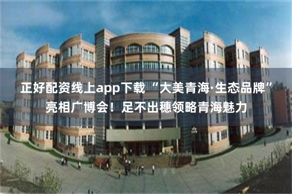 正好配资线上app下载 “大美青海·生态品牌”亮相广博会！足不出穗领略青海魅力
