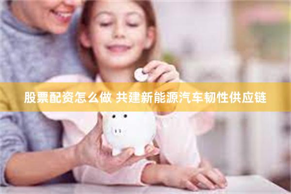 股票配资怎么做 共建新能源汽车韧性供应链