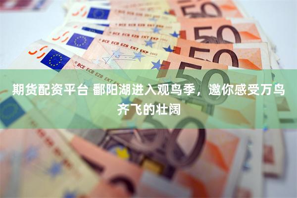 期货配资平台 鄱阳湖进入观鸟季，邀你感受万鸟齐飞的壮阔