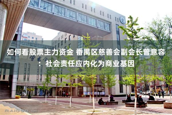 如何看股票主力资金 番禺区慈善会副会长曾意容:社会责任应内化为商业基因