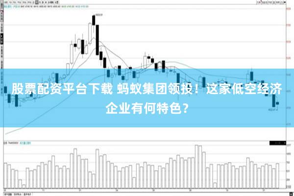 股票配资平台下载 蚂蚁集团领投！这家低空经济企业有何特色？
