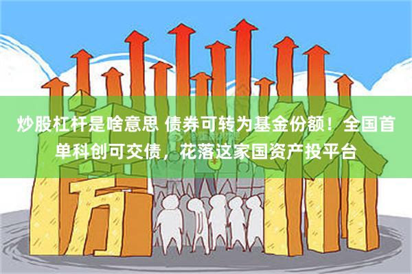 炒股杠杆是啥意思 债券可转为基金份额！全国首单科创可交债，花落这家国资产投平台