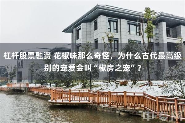 杠杆股票融资 花椒味那么奇怪，为什么古代最高级别的宠爱会叫“椒房之宠”？