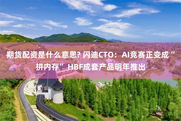 期货配资是什么意思? 闪迪CTO：AI竞赛正变成“拼内存” HBF成套产品明年推出