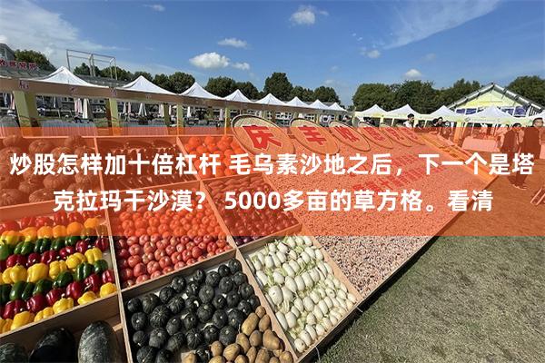 炒股怎样加十倍杠杆 毛乌素沙地之后，下一个是塔克拉玛干沙漠？ 5000多亩的草方格。看清