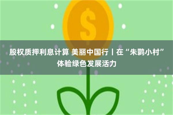 股权质押利息计算 美丽中国行丨在“朱鹮小村”体验绿色发展活力