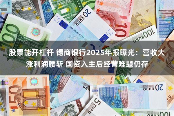 股票能开杠杆 锡商银行2025年报曝光：营收大涨利润腰斩 国资入主后经营难题仍存
