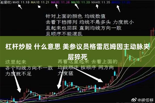 杠杆炒股 什么意思 美参议员格雷厄姆因主动脉夹层猝死