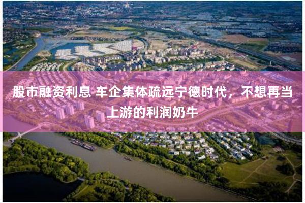 股市融资利息 车企集体疏远宁德时代，不想再当上游的利润奶牛