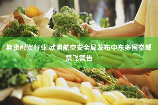 期货配资行业 欧盟航空安全局发布中东多国空域禁飞警告