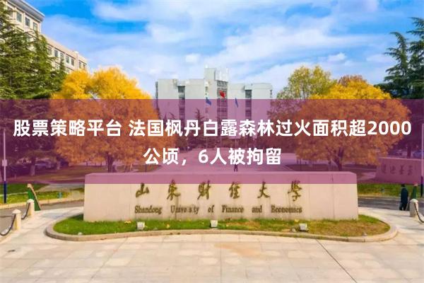 股票策略平台 法国枫丹白露森林过火面积超2000公顷，6人被拘留