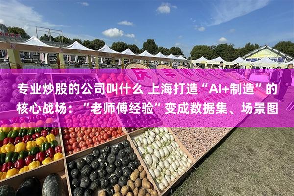 专业炒股的公司叫什么 上海打造“AI+制造”的核心战场：“老师傅经验”变成数据集、场景图
