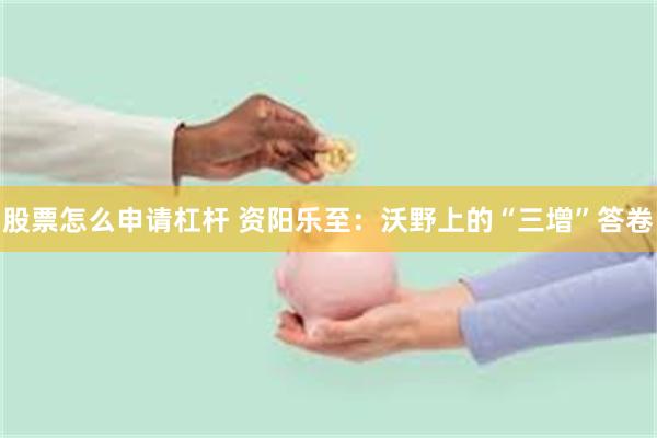 股票怎么申请杠杆 资阳乐至：沃野上的“三增”答卷