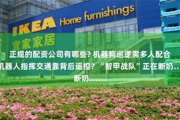 正规的配资公司有哪些? 机器狗巡逻需多人配合，机器人指挥交通靠背后遥控？“智甲战队”正在断奶……