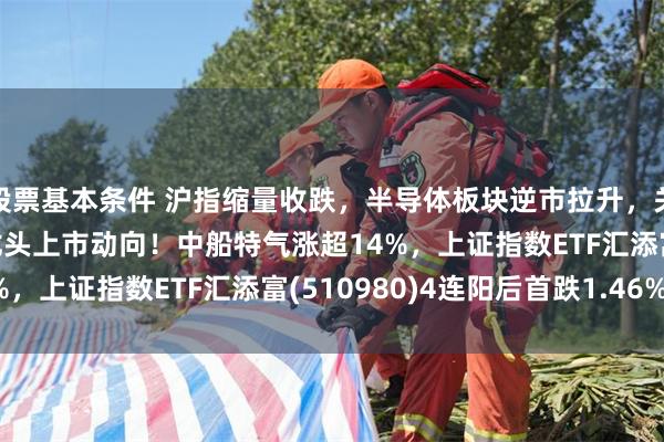 股票基本条件 沪指缩量收跌，半导体板块逆市拉升，关注国产DRAM存储器龙头上市动向！中船特气涨超14%，上证指数ETF汇添富(510980)4连阳后首跌1.46%！