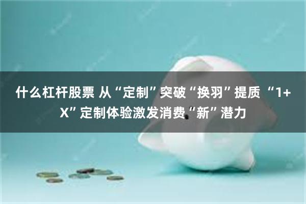 什么杠杆股票 从“定制”突破“换羽”提质 “1+X”定制体验激发消费“新”潜力