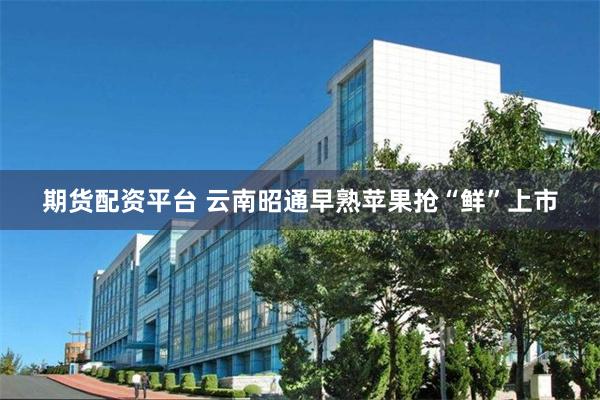 期货配资平台 云南昭通早熟苹果抢“鲜”上市