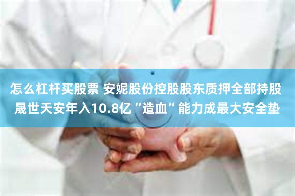 怎么杠杆买股票 安妮股份控股股东质押全部持股 晟世天安年入10.8亿“造血”能力成最大安全垫