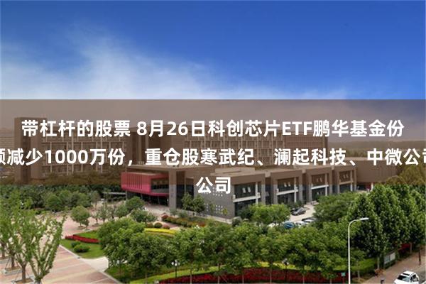 带杠杆的股票 8月26日科创芯片ETF鹏华基金份额减少1000万份，重仓股寒武纪、澜起科技、中微公司