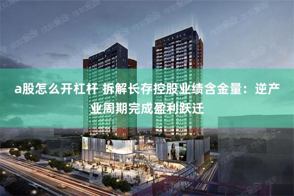 a股怎么开杠杆 拆解长存控股业绩含金量：逆产业周期完成盈利跃迁
