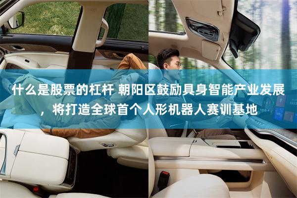 什么是股票的杠杆 朝阳区鼓励具身智能产业发展，将打造全球首个人形机器人赛训基地